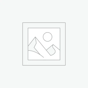 Professional Logo Identity
